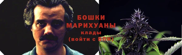 гидра Алексин