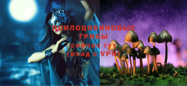 гидра Алексин